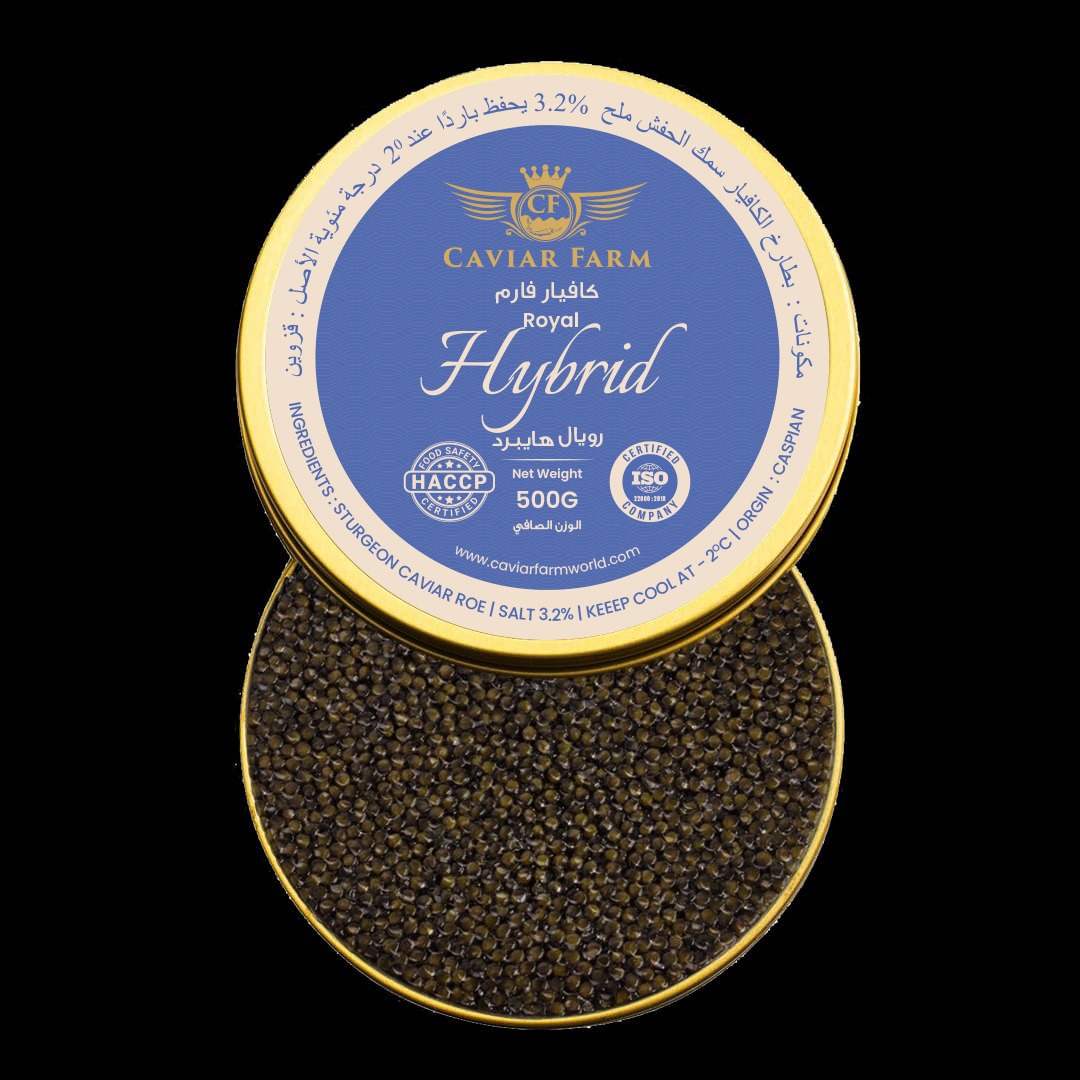 Royal hybrid 