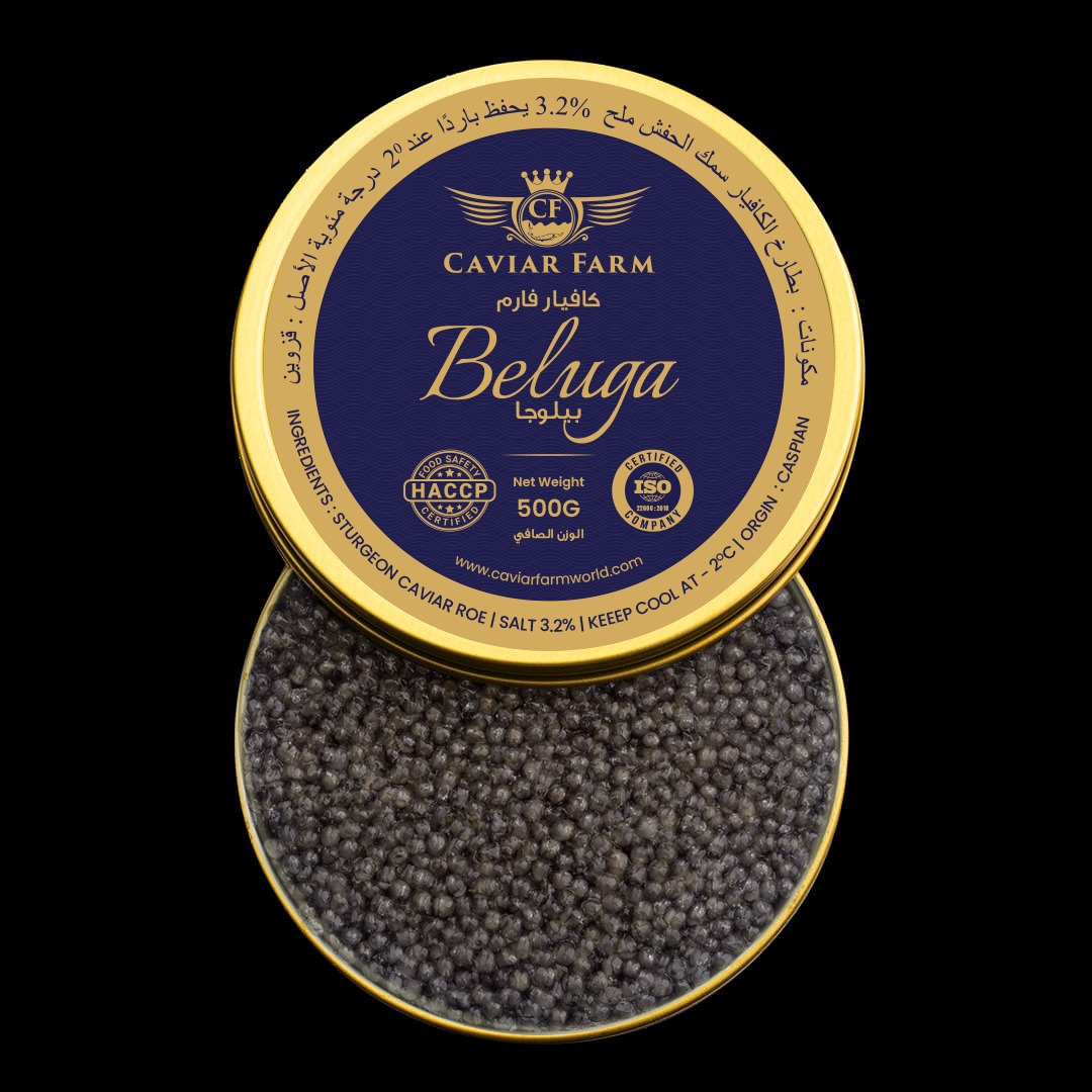 Beluga 